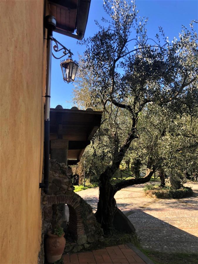 Villa Casale L'Antica Mola à Castel Madama Extérieur photo