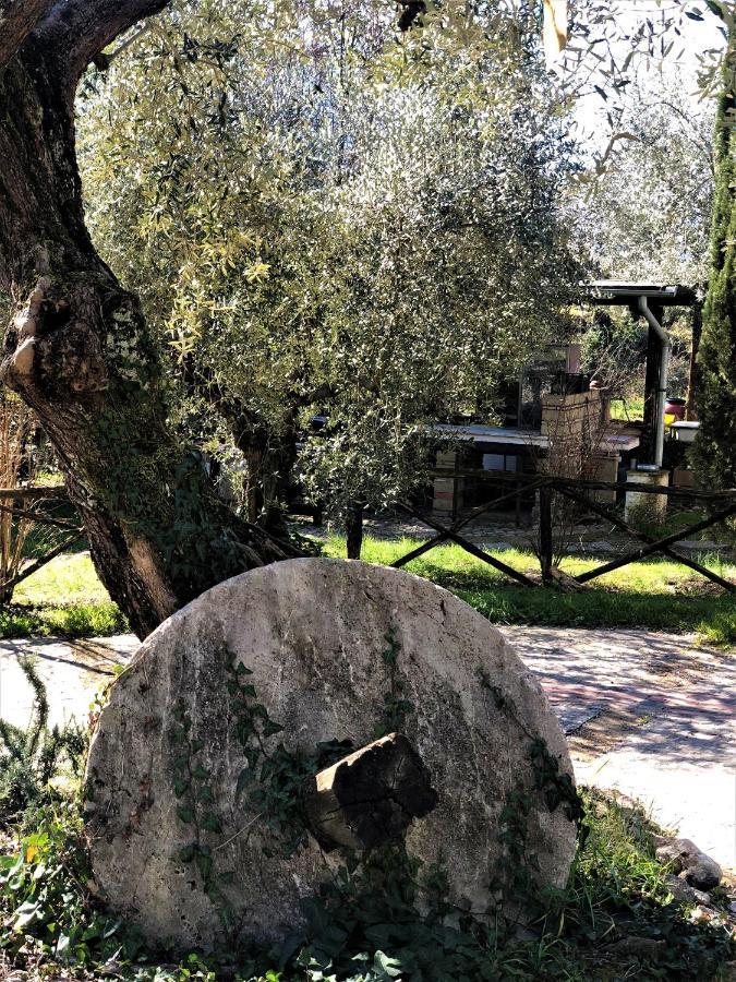 Villa Casale L'Antica Mola à Castel Madama Extérieur photo